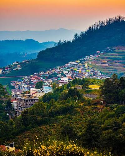 WhatsApp Image 2025-12-11 at 8.16.56 PM