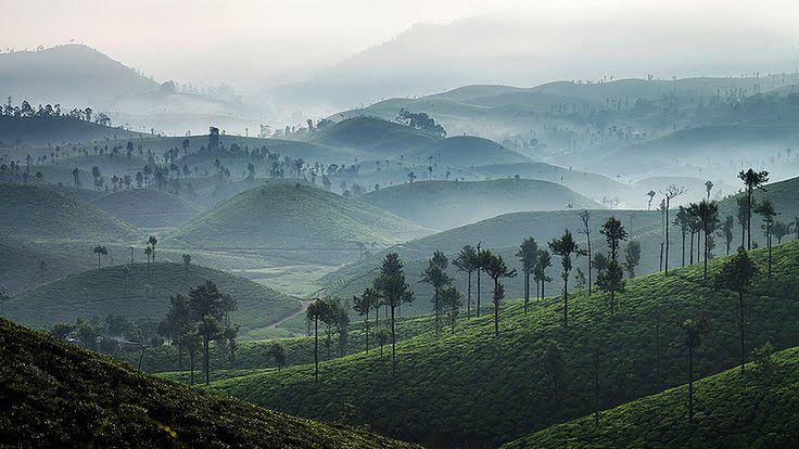 WhatsApp Image 2025-12-11 at 8.17.01 PM (2)