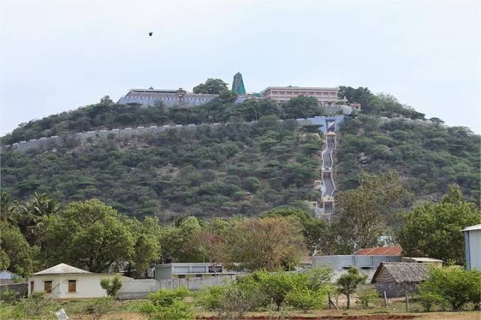 WhatsApp Image 2025-12-11 at 8.17.01 PM